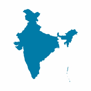 Hindistan Vizesi